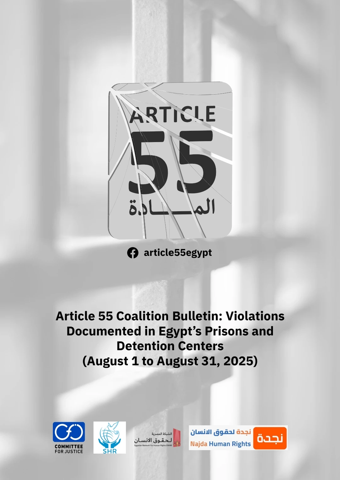 Article 55 Alliance documents detention abuses in Egypt between 1 and 31 August 2025 