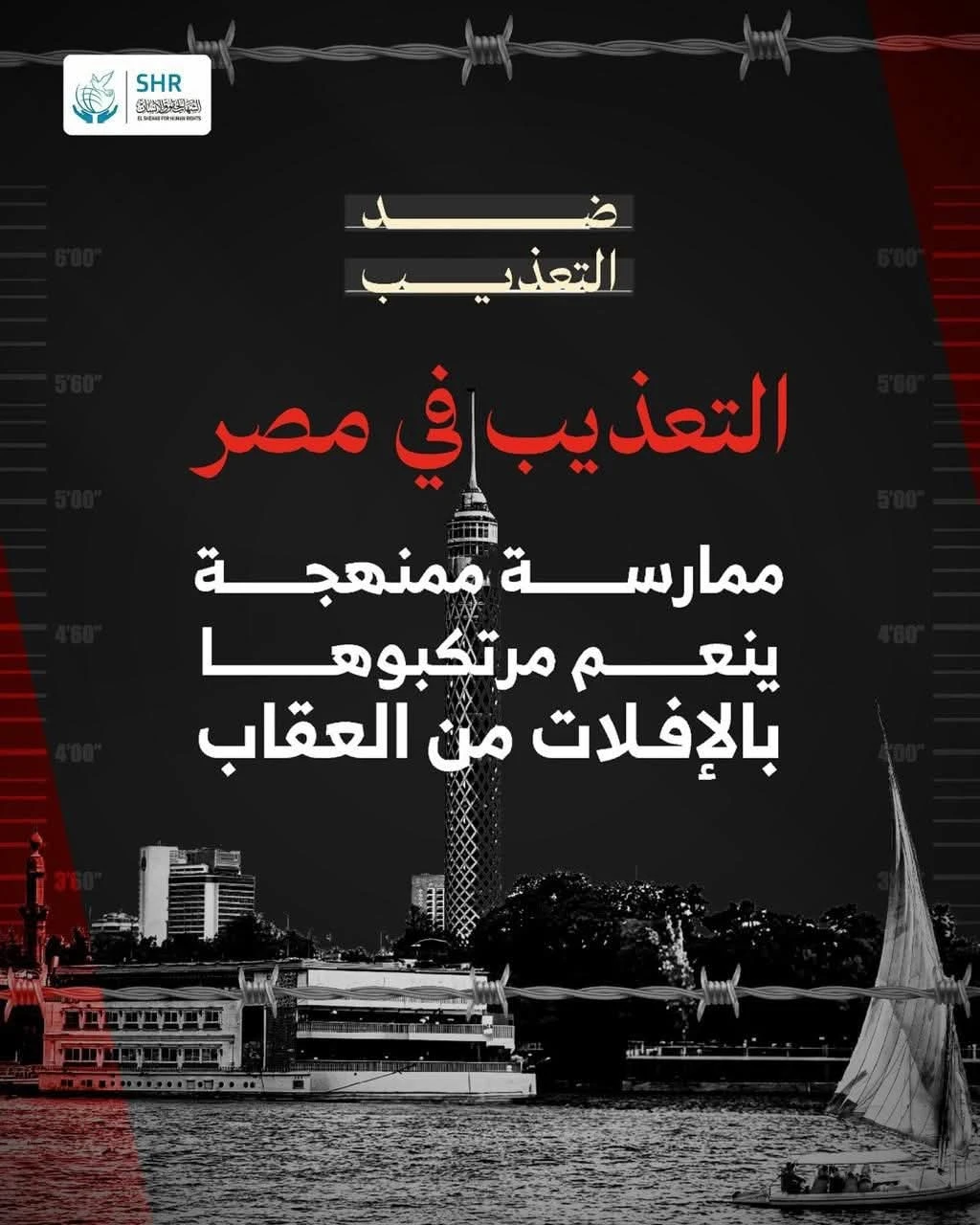 التعذيب في مصر ممارسة ممنهجة ينعم مرتكبوها بالإفلات من العقاب